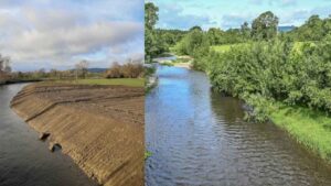 El antes y después del río que perdió 71 árboles y tardará décadas en recuperarse