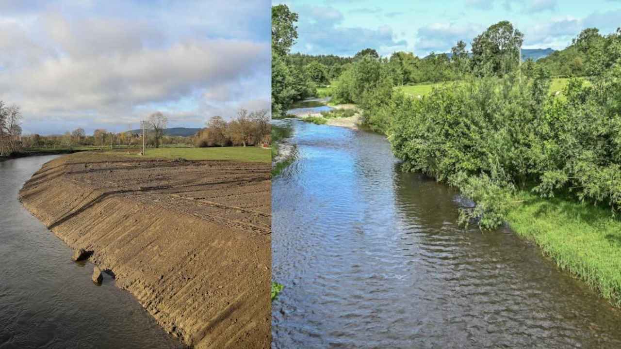 Comparativa del tramo del río Lugg antes de los daños y durante su restauración.