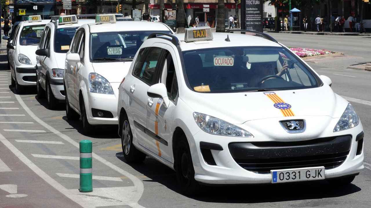 Taxi blanco prestando servicio en una calle de Palma durante la temporada alta