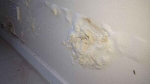 Un albañil explica cómo frenar la humedad con pequeños agujeros en la pared