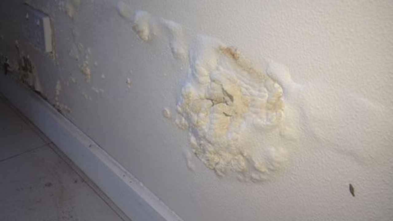 Pared interior con manchas de humedad y pintura desconchada en la parte inferior