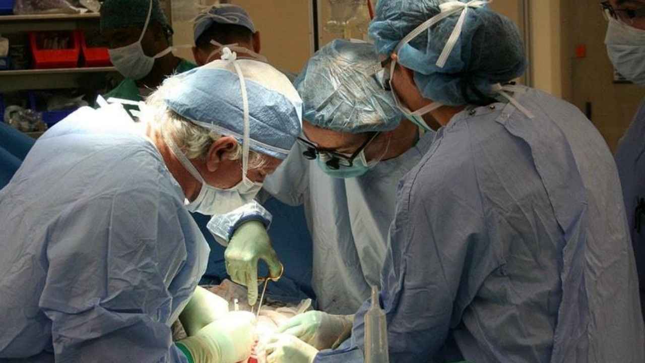 Equipo médico durante una operación relacionada con la donación de órganos