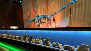 Paleontólogos identifican en Teruel el primer Diplodocus fuera de Norteamérica y refuerzan la conexión jurásica con Europa