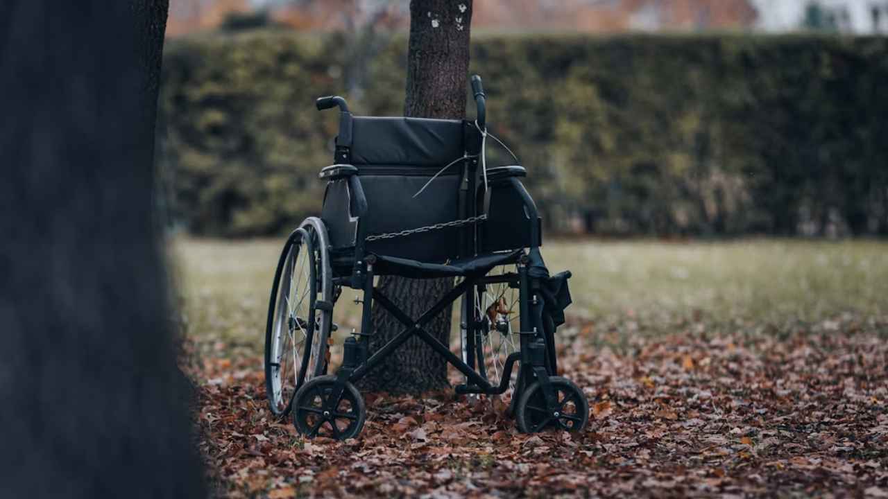 Silla de ruedas vacía junto a un árbol en un parque.