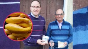 Un agricultor entrega dos variedades de calabaza para conservar un legado familiar de unos 200 años
