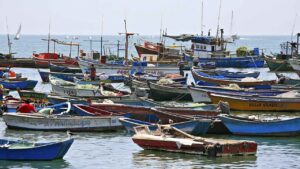 Fausto, marinero peruano afincado en Galicia, recuerda las toneladas de anchoa que capturaba para fabricar harina de pescado