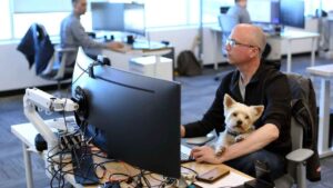 Casi la mitad de los empleados encuestados en España se plantearía otro trabajo por sus mascotas
