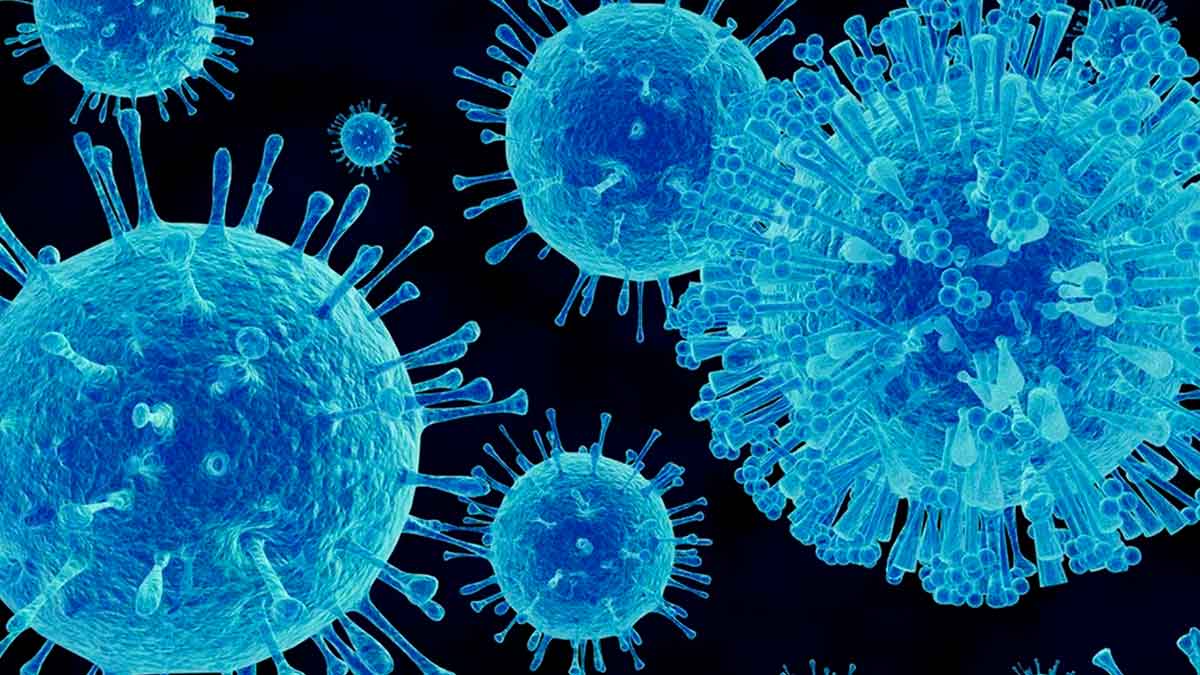 El norovirus pone en jaque mate al sistema de salud en espana.