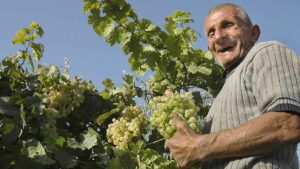 Nuevo curso gratuito del SEPE para trabajar en el campo: prioridad para menores de 30, mayores de 45 y mujeres