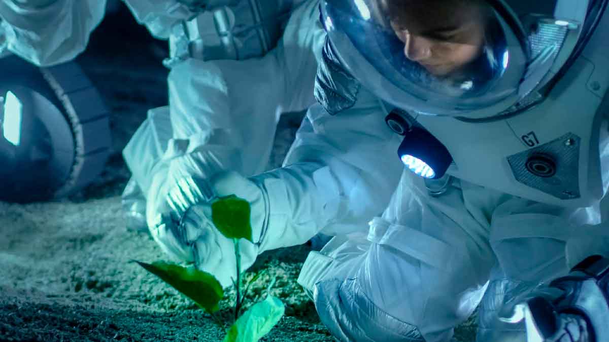 Un huerto espacial: la NASA quiere cultivar plantas en Marte